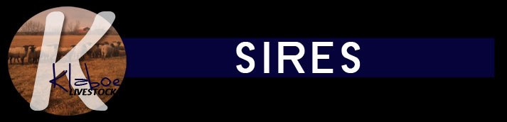 Sires